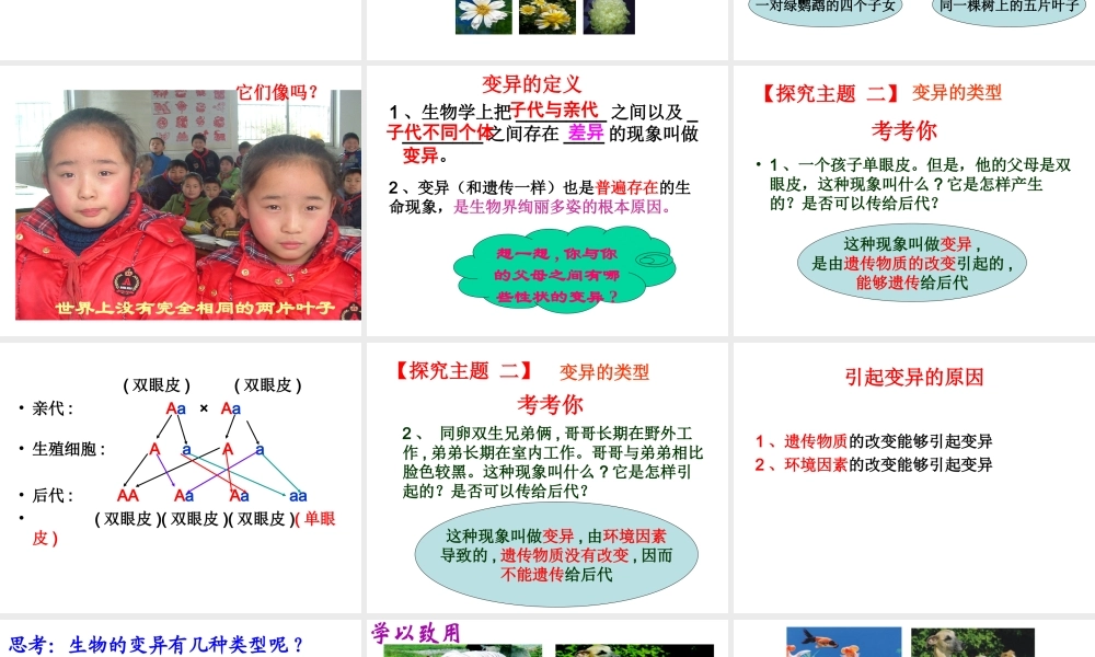 八年级生物上册 4.4.4 生物的变异课件 （新版）济南版-（新版）济南版初中八年级上册生物课件