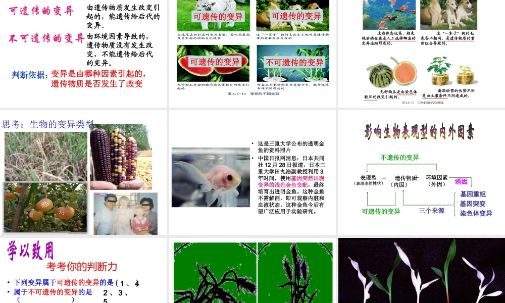 八年级生物上册 4.4.4 生物的变异课件 （新版）济南版-（新版）济南版初中八年级上册生物课件