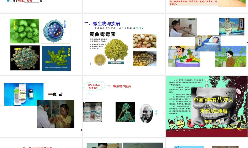 八年级生物上册 18.2《微生物与人类的关系》课件2 （新版）北师大版-（新版）北师大级上册生物课件