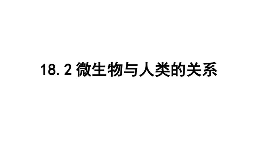 八年级生物上册 18.2《微生物与人类的关系》课件3 （新版）北师大版-（新版）北师大版初中八年级上册生物课件