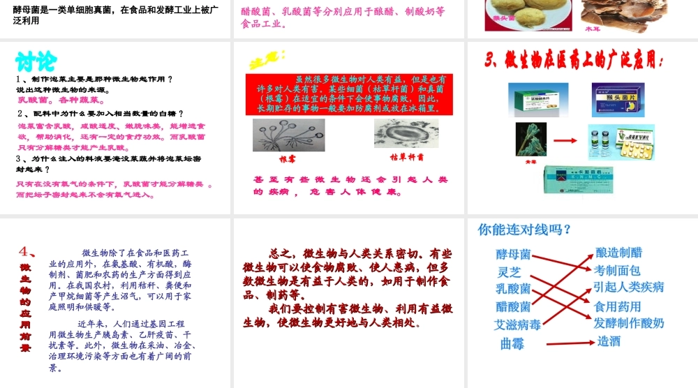 八年级生物上册 18.2《微生物与人类的关系》课件3 （新版）北师大版-（新版）北师大级上册生物课件