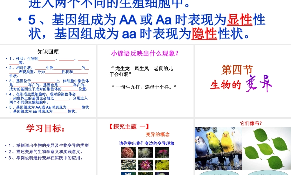 八年级生物上册 4.4.4 生物的变异课件 （新版）济南版-（新版）济南级上册生物课件