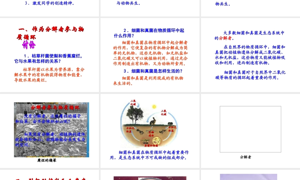 八年级生物上册 4.4.4 细菌和真菌在自然界中的作用课件 新人教版