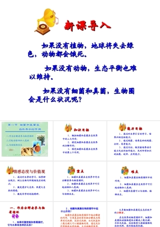 八年级生物上册 4.4.4 细菌和真菌在自然界中的作用课件 新人教版