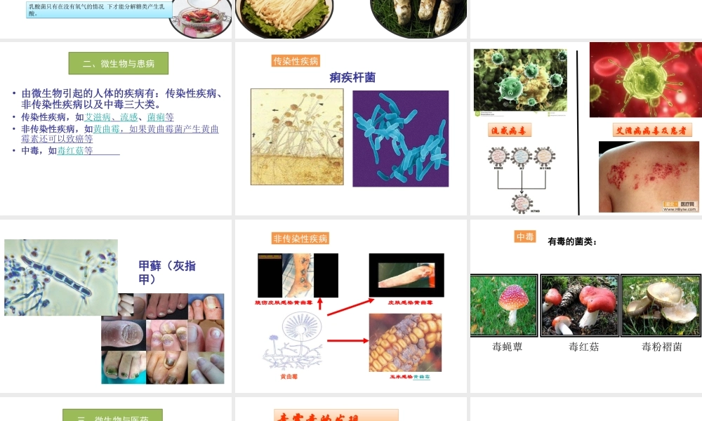 八年级生物上册 18.2《微生物与人类的关系》课件4 （新版）北师大版-（新版）北师大版初中八年级上册生物课件