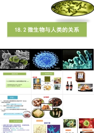 八年级生物上册 18.2《微生物与人类的关系》课件4 （新版）北师大版-（新版）北师大版初中八年级上册生物课件