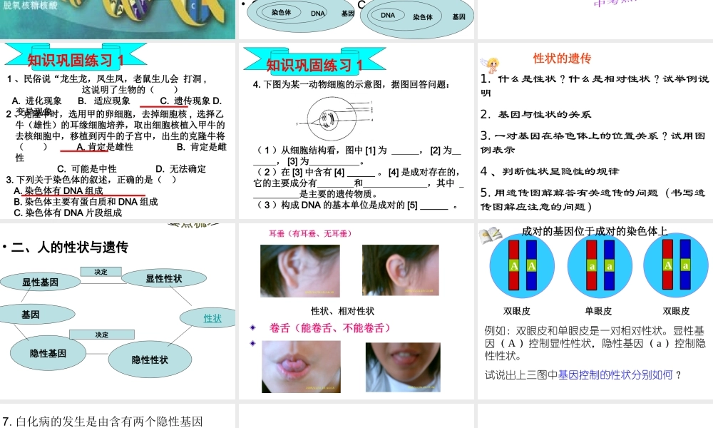 八年级生物上册 4.4.4 遗传变异1---3节复习课件 济南版-济南版初中八年级上册生物课件