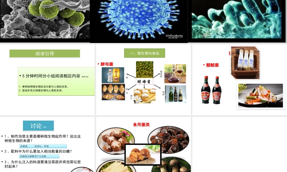 八年级生物上册 18.2《微生物与人类的关系》课件4 （新版）北师大版-（新版）北师大级上册生物课件