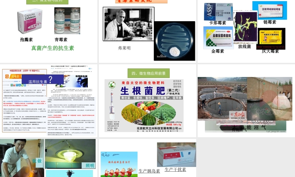 八年级生物上册 18.2《微生物与人类的关系》课件4 （新版）北师大版-（新版）北师大级上册生物课件