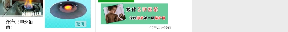 八年级生物上册 18.2《微生物与人类的关系》课件4 （新版）北师大版-（新版）北师大级上册生物课件