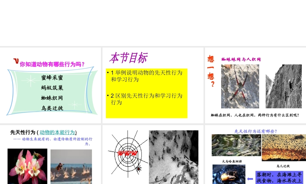 八年级生物上册 18.2动物行为的生理基础课件 （新版）苏教版-（新版）苏教版初中八年级上册生物课件