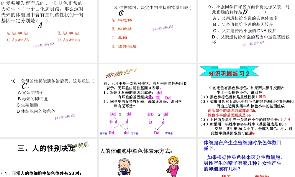 八年级生物上册 4.4.4 遗传变异1---3节复习课件 济南版-济南级上册生物课件