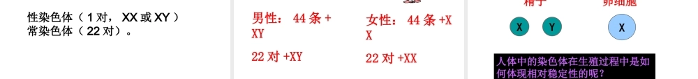 八年级生物上册 4.4.4 遗传变异1---3节复习课件 济南版-济南级上册生物课件