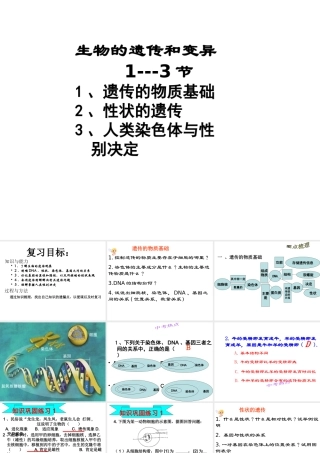八年级生物上册 4.4.4 遗传变异1---3节复习课件 济南版-济南级上册生物课件
