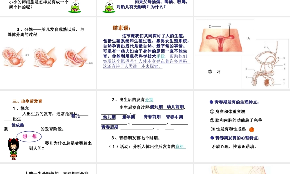 八年级生物上册 19.1《人的生殖和发育》课件4 （新版）北师大版-（新版）北师大级上册生物课件
