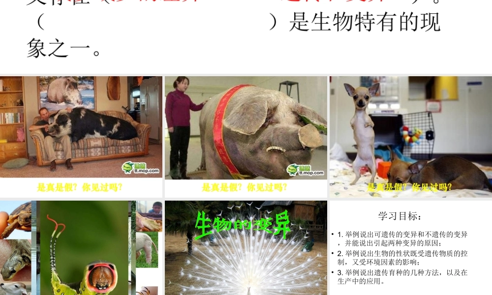 八年级生物上册 4.4.4《生物的变异》课件1 （新版）济南版-（新版）济南版初中八年级上册生物课件