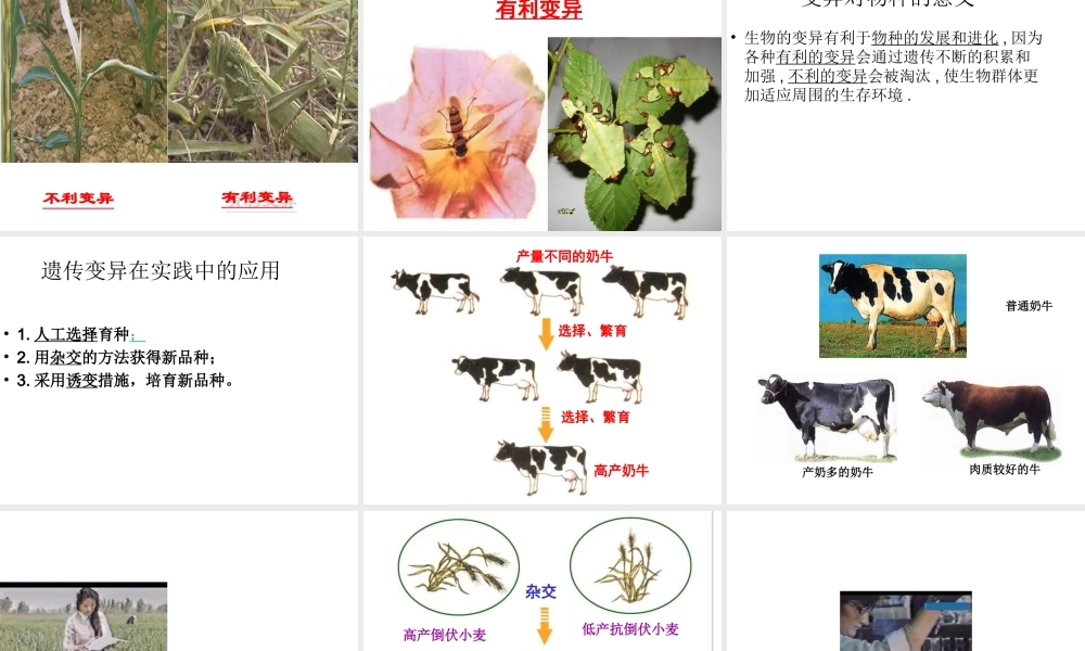 八年级生物上册 4.4.4《生物的变异》课件1 （新版）济南版-（新版）济南版初中八年级上册生物课件