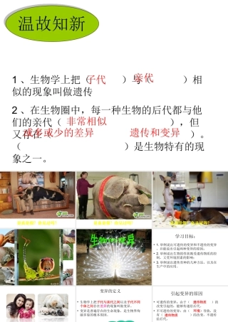 八年级生物上册 4.4.4《生物的变异》课件1 （新版）济南版-（新版）济南版初中八年级上册生物课件