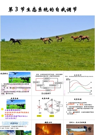 八年级生物上册 18.3 生态系统的自我调节教学课件 （新版）苏科版-（新版）苏科版初中八年级上册生物课件