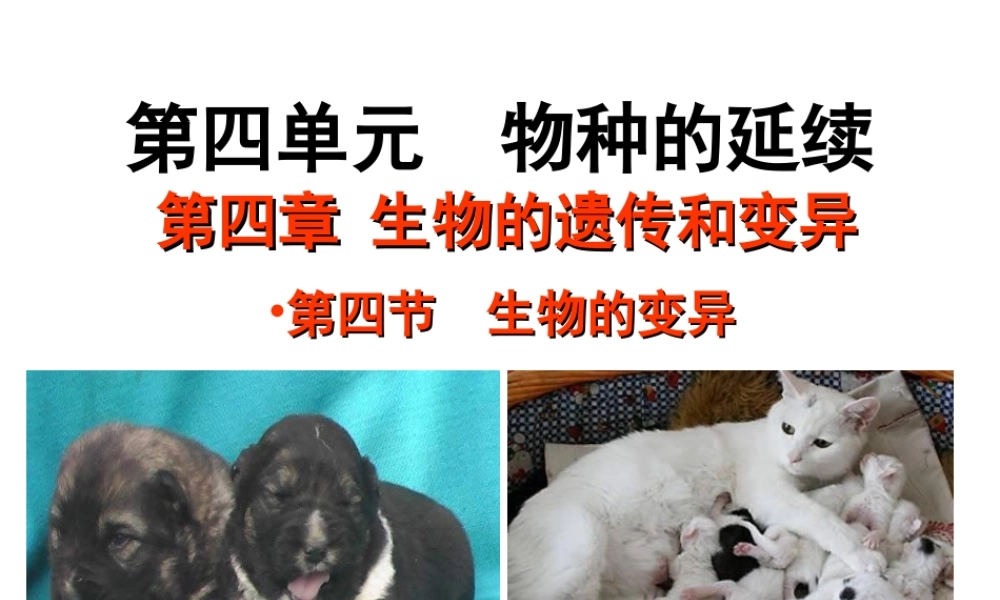 八年级生物上册 4.4.4《生物的变异》课件2 （新版）济南版-（新版）济南版初中八年级上册生物课件