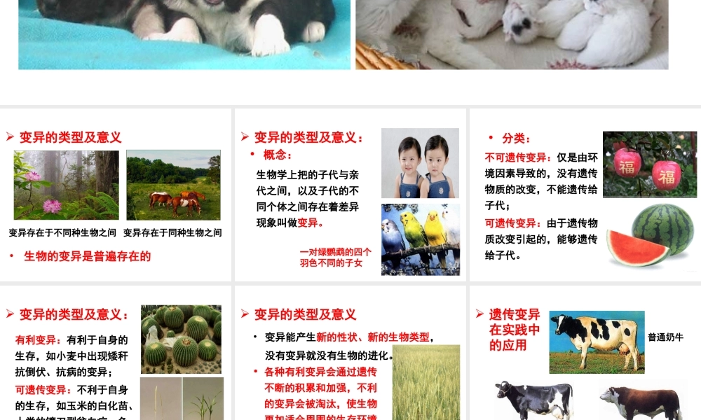 八年级生物上册 4.4.4《生物的变异》课件2 （新版）济南版-（新版）济南版初中八年级上册生物课件