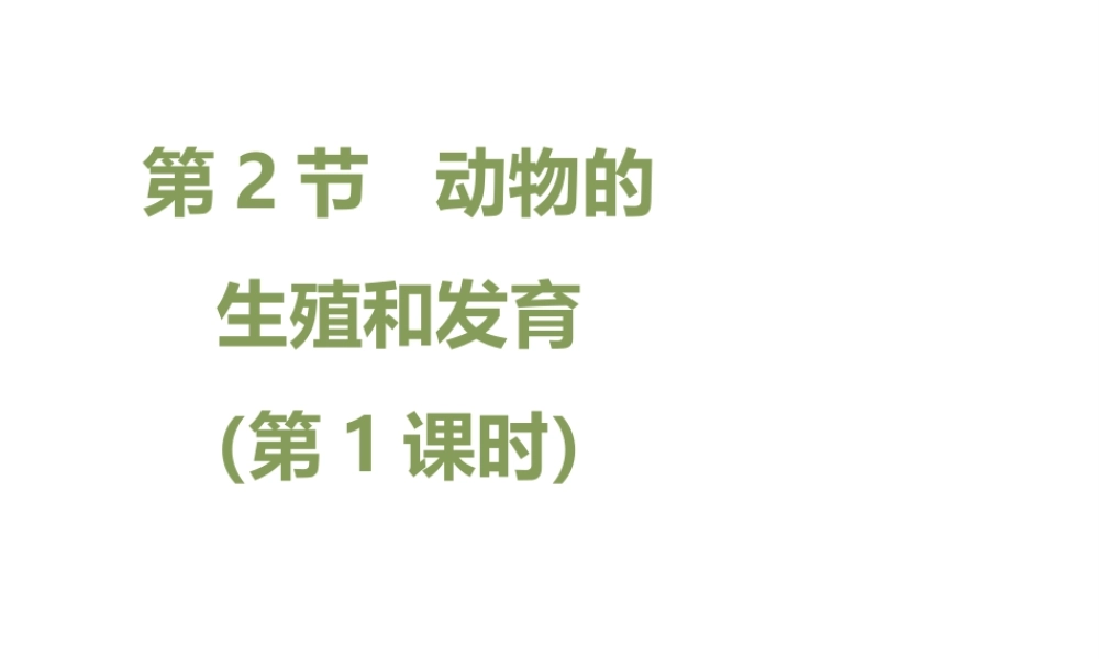 八年级生物上册 19.2 动物的生殖和发育（第1课时）课件（新版）北师大版-（新版）北师大版初中八年级上册生物课件