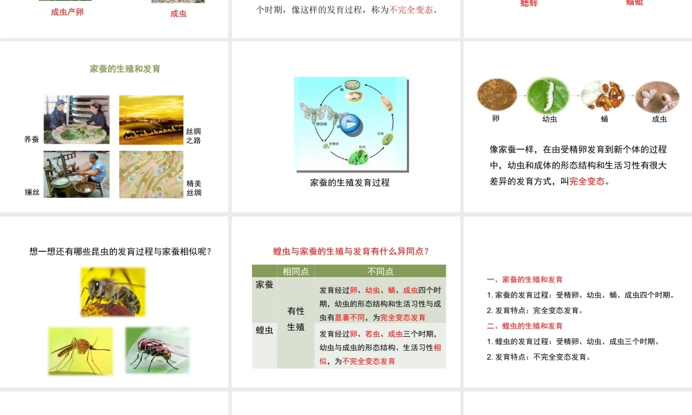 八年级生物上册 19.2 动物的生殖和发育（第1课时）课件（新版）北师大版-（新版）北师大版初中八年级上册生物课件
