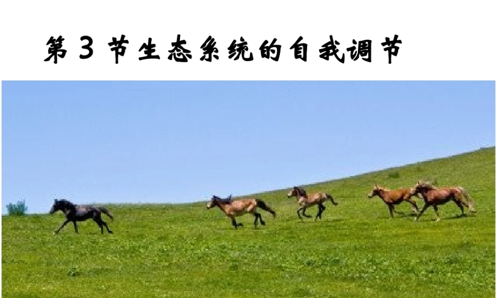 八年级生物上册 18.3 生态系统的自我调节教学课件 （新版）苏科版-（新版）苏科级上册生物课件