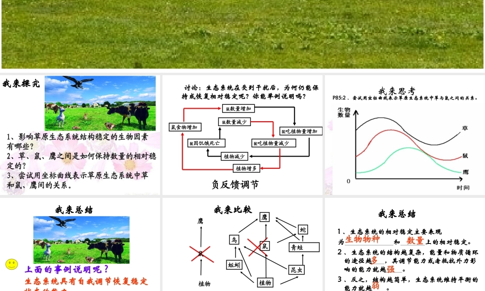 八年级生物上册 18.3 生态系统的自我调节教学课件 （新版）苏科版-（新版）苏科级上册生物课件