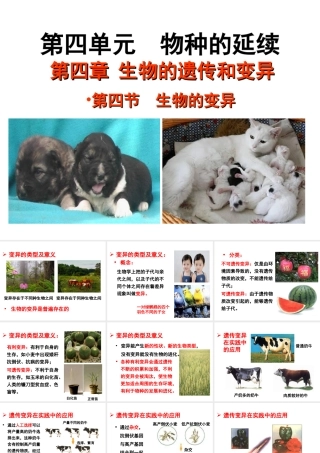 八年级生物上册 4.4.4《生物的变异》课件2 （新版）济南版-（新版）济南级上册生物课件