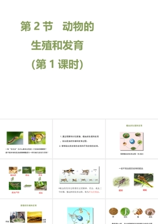 八年级生物上册 19.2 动物的生殖和发育（第1课时）课件（新版）北师大版-（新版）北师大级上册生物课件