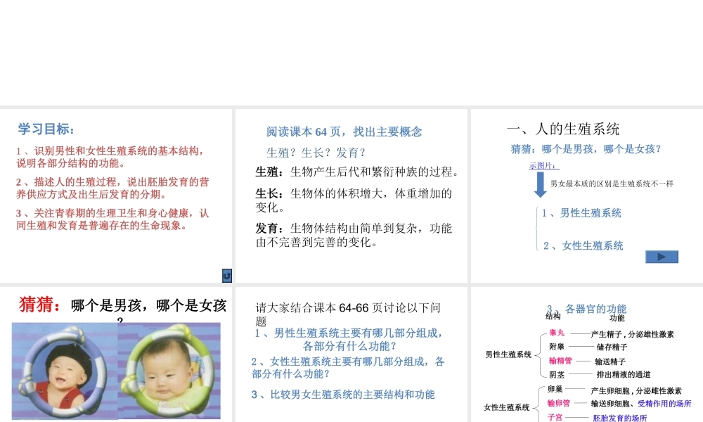 八年级生物上册 19.1 人的生殖和发育（第1课时）课件 北师大版