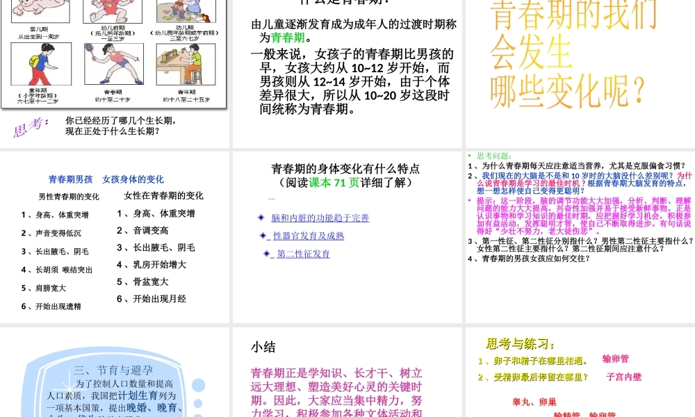 八年级生物上册 19.1 人的生殖和发育（第1课时）课件 北师大版