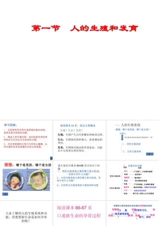 八年级生物上册 19.1 人的生殖和发育（第1课时）课件 北师大版