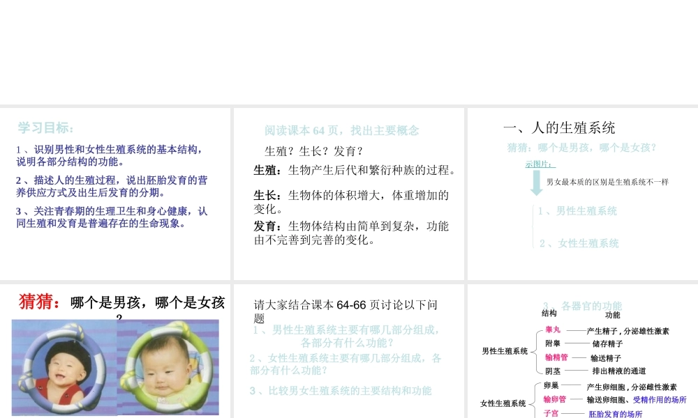 八年级生物上册 19.1 人的生殖和发育课件 （新版）北师大版-（新版）北师大版初中八年级上册生物课件