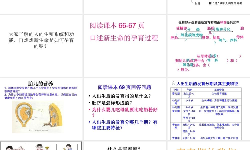 八年级生物上册 19.1 人的生殖和发育课件 （新版）北师大版-（新版）北师大版初中八年级上册生物课件