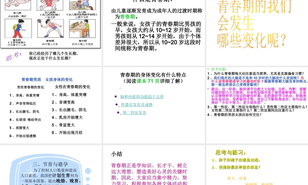 八年级生物上册 19.1 人的生殖和发育课件 （新版）北师大版-（新版）北师大版初中八年级上册生物课件
