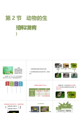 八年级生物上册 19.2 动物的生殖和发育（第2课时）课件（1）（新版）北师大版-（新版）北师大版初中八年级上册生物课件