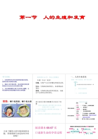 八年级生物上册 19.1 人的生殖和发育课件 （新版）北师大版-（新版）北师大级上册生物课件