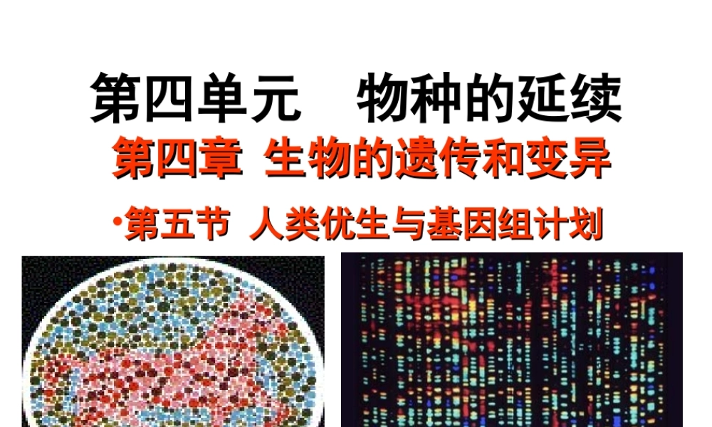 八年级生物上册 4.4.5 人类优生与基因组计划课件 （新版）济南版-（新版）济南版初中八年级上册生物课件