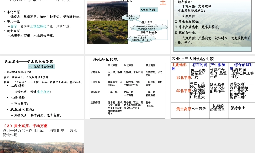 八年级地理下册 第六章 第一节自然特征与农业课件 （新版）新人教版-（新版）新人教版初中八年级下册地理课件