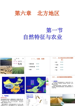 八年级地理下册 第六章 第一节自然特征与农业课件 （新版）新人教版-（新版）新人教版初中八年级下册地理课件