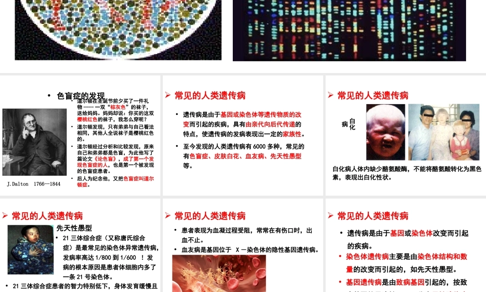 八年级生物上册 4.4.5 人类优生与基因组计划课件 （新版）济南版-（新版）济南级上册生物课件