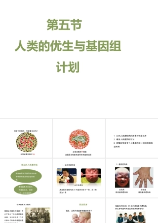 八年级生物上册 4.4.5《人类优生与基因组计划》课件 （新版）济南版-（新版）济南版初中八年级上册生物课件
