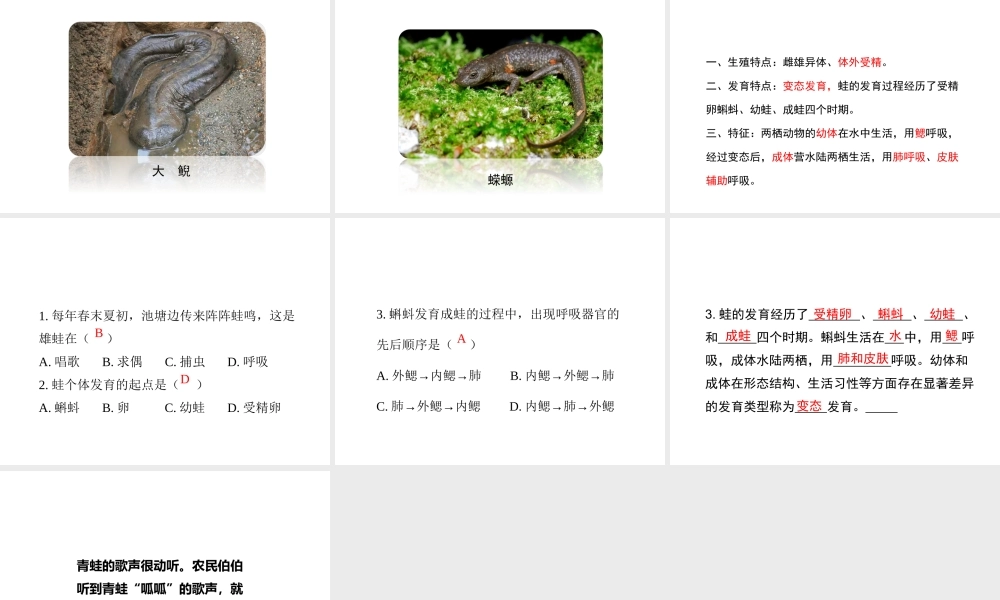 八年级生物上册 19.2 动物的生殖和发育（第2课时）课件（2）（新版）北师大版-（新版）北师大版初中八年级上册生物课件