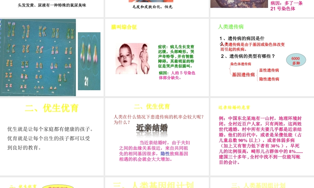 八年级生物上册 4.4.5《人类优生与基因组计划》课件1 （新版）济南版-（新版）济南版初中八年级全册生物课件