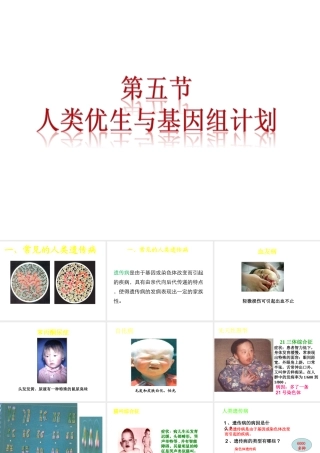 八年级生物上册 4.4.5《人类优生与基因组计划》课件1 （新版）济南版-（新版）济南级全册生物课件