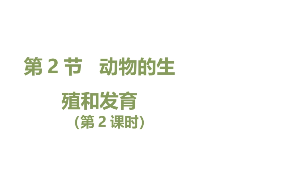 八年级生物上册 19.2 动物的生殖和发育（第2课时）课件（2）（新版）北师大版-（新版）北师大级上册生物课件