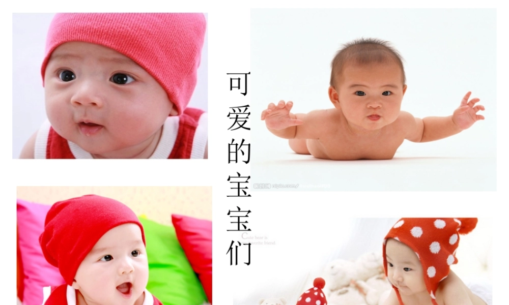 八年级生物上册 4.4.5《人类优生与基因组计划》课件2 （新版）济南版-（新版）济南版初中八年级上册生物课件