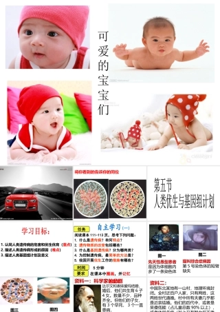 八年级生物上册 4.4.5《人类优生与基因组计划》课件2 （新版）济南版-（新版）济南版初中八年级上册生物课件